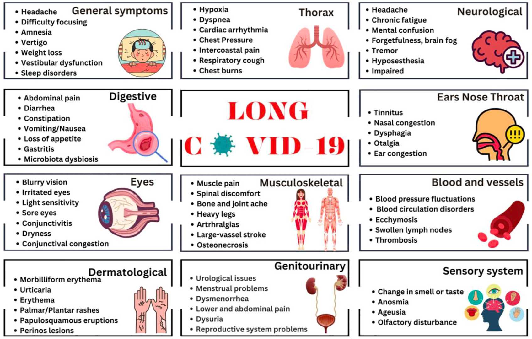 Long Covid Symptoms Excess Weight Study