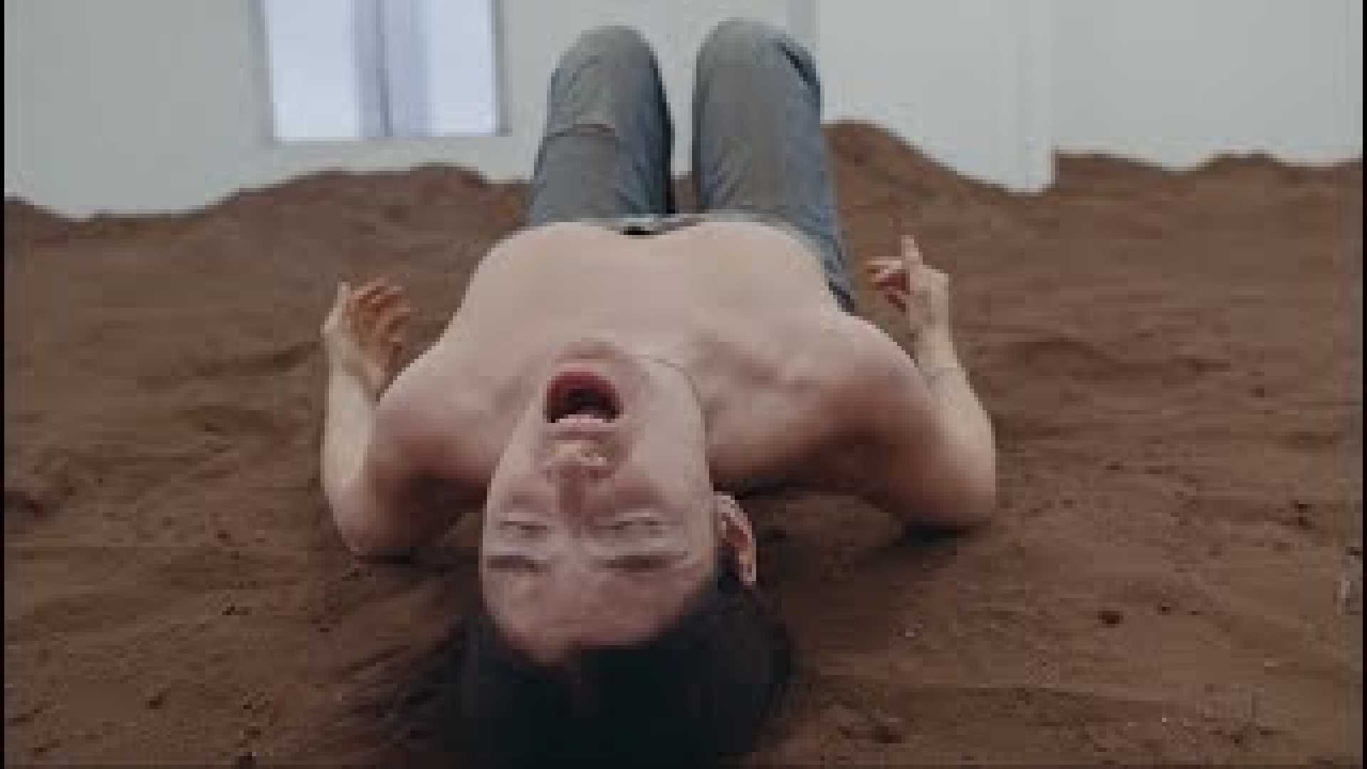 Lorde Man Of The Year Music Video