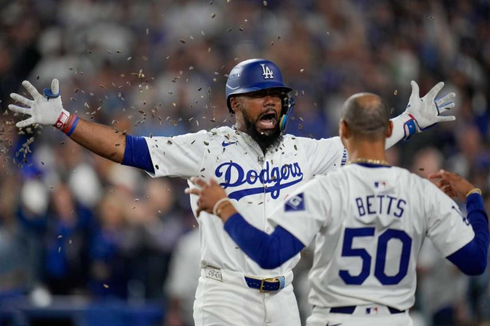 Los Angeles Dodgers Baseball