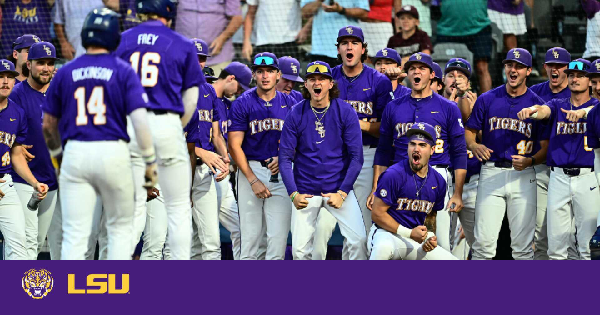 Lsu Baseball Team Sec Tournament