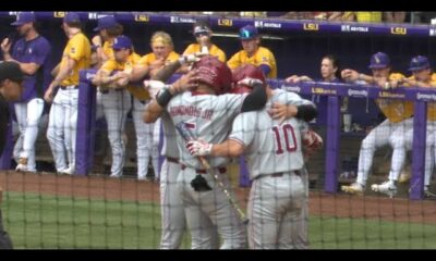 Lsu Tigers Baseball Team In Action
