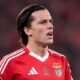 Álvaro Carreras Benfica Transfer News