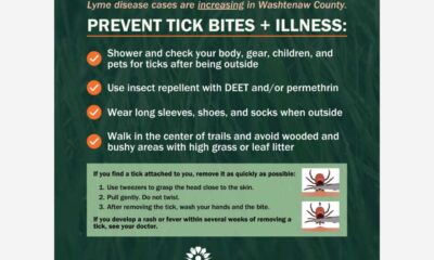 Lyme Disease Prevention Outdoor Tips