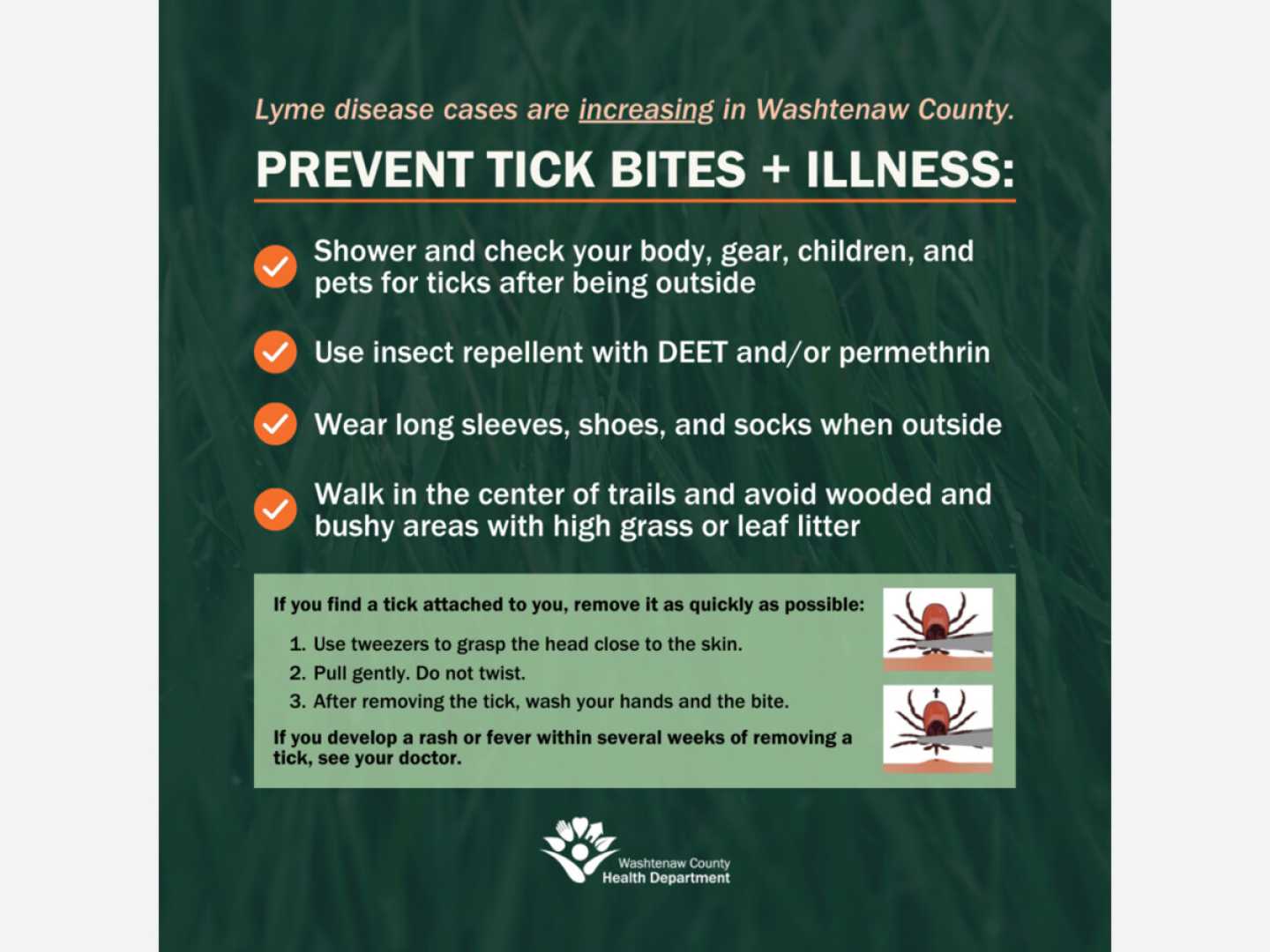 Lyme Disease Prevention Outdoor Tips