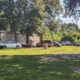Manhunt On Sullivan's Island Hit And Run