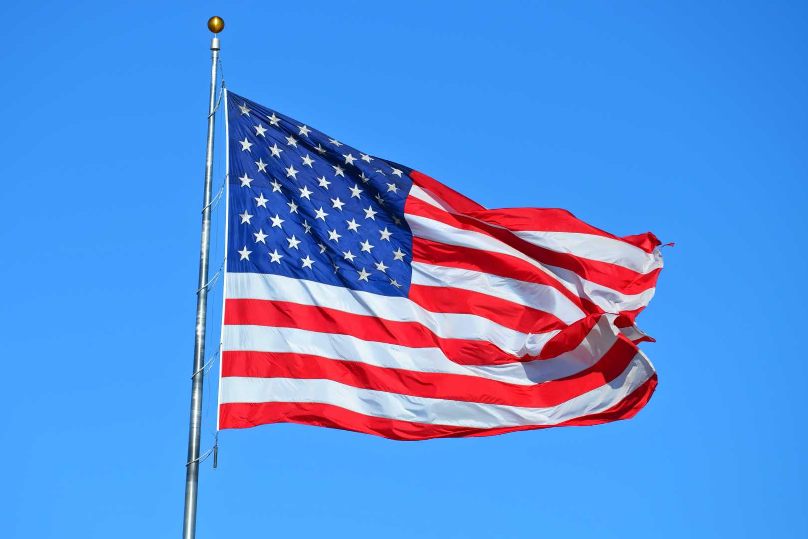 Memorial Day American Flags