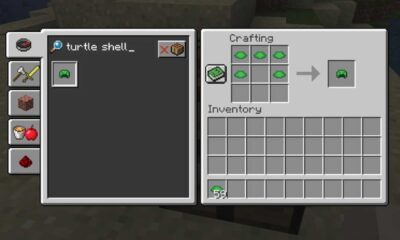Minecraft Turtle Shell Gameplay Features