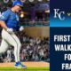 Minnesota Twins Game Highlights