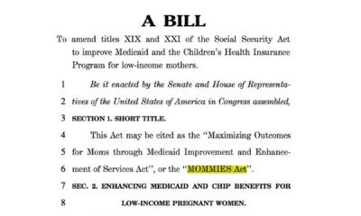 Moms Act Legislation Mothers Support
