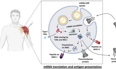 Mrna Vaccine Technology Research Singapore