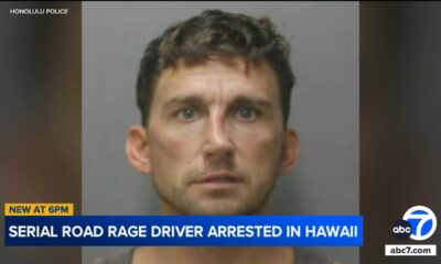 Nathaniel Radimak Tesla Road Rage Incident