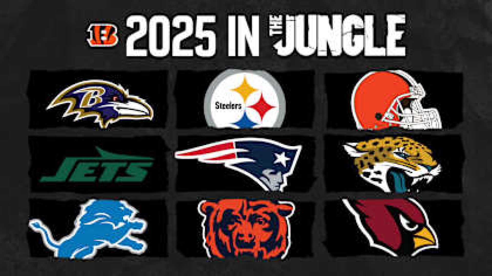 Nfl Teams 2025 Season Opponents