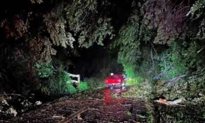 North Georgia Storms Damage May 2025