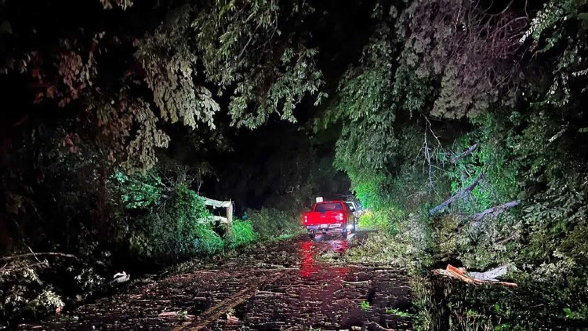 North Georgia Storms Damage May 2025