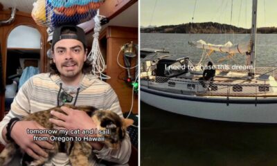 Oliver Widger Sailing With Cat