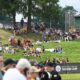 Pittsburgh Steelers Training Camp