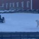 Polar Bear Chase Snowmobile Norway