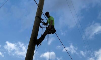 Power Line Worker Safety Incident Alabama
