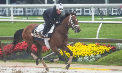 Preakness Stakes 2025 Horse Race