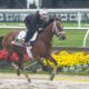 Preakness Stakes 2025 Horse Race
