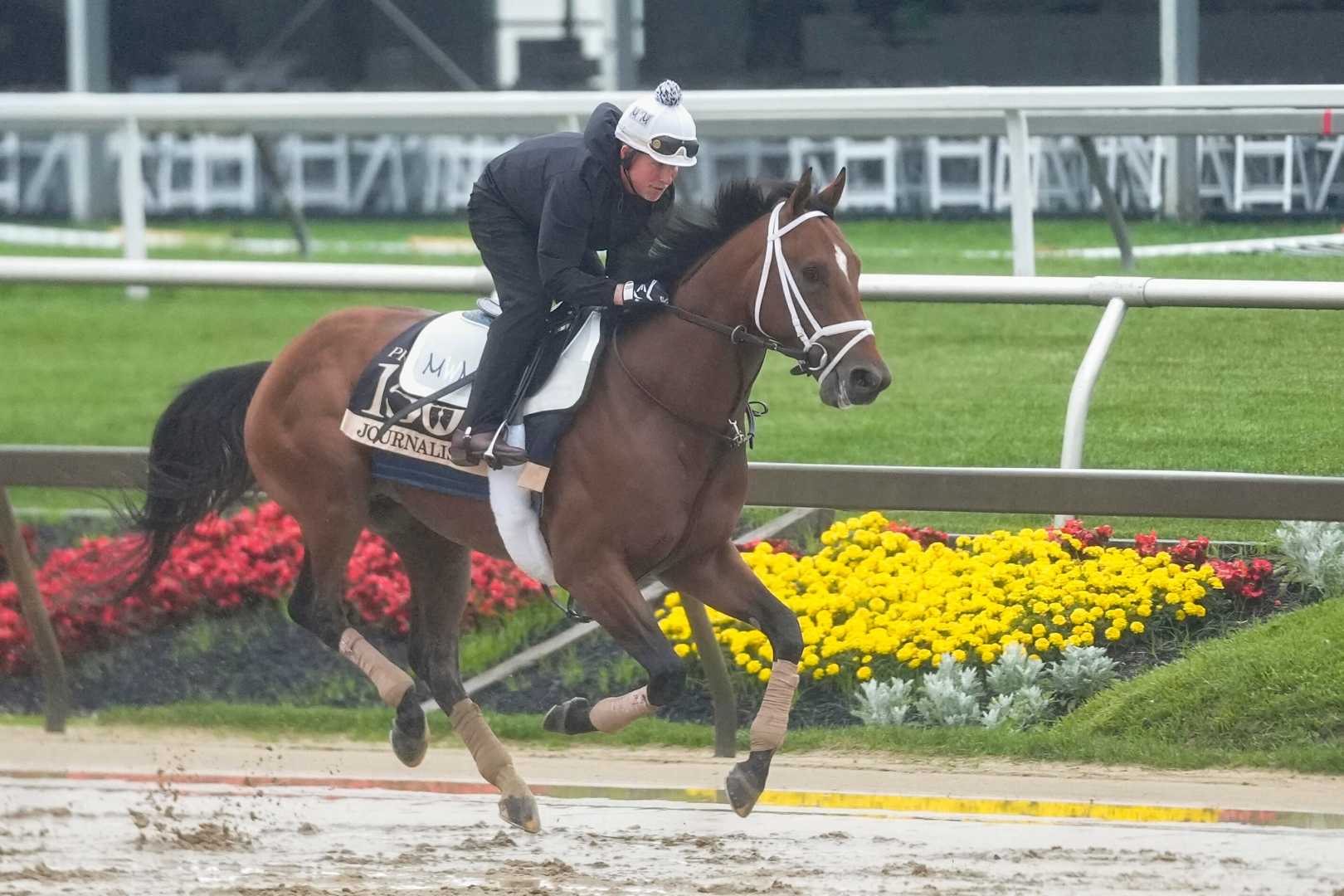 Preakness Stakes 2025 Horse Race