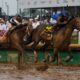 Preakness Stakes Horse Racing Baltimore