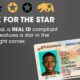 Real Id Document Compliance