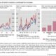 Retail Investors Stock Market Surge