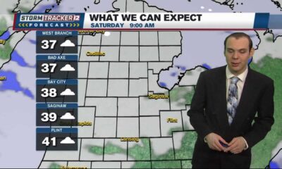 Saginaw Mild Weather Forecast