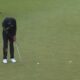 Sahith Theegala Pga Championship Neck Injury