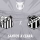 Santos Ceara Brasileirao May 2025