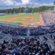 Sec Baseball Tournament Texas