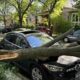 Severe Storms Chicago May 2025