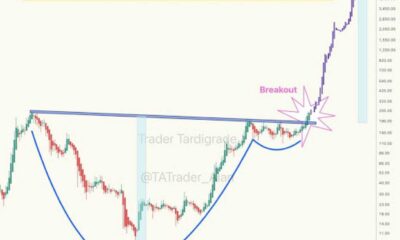 Solana Cryptocurrency Price Action