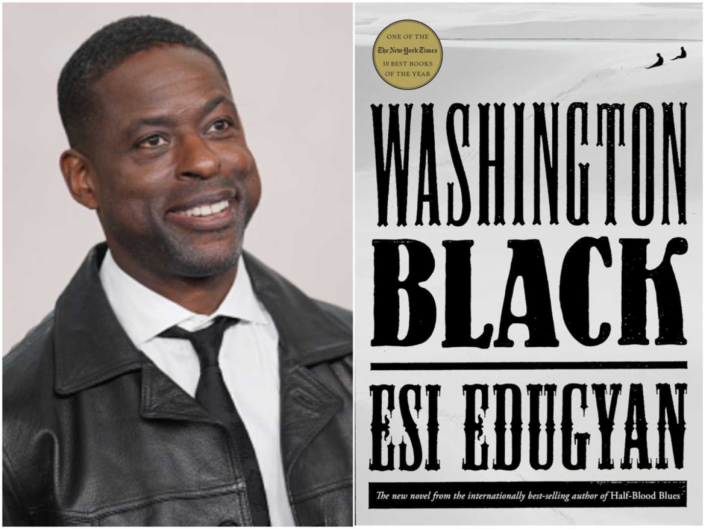Sterling K. Brown Washington Black Series