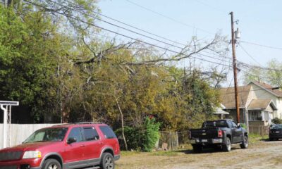 Storm Damage Ohio Valley Power Outage