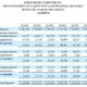 Super Micro Computer Financial Results 2025