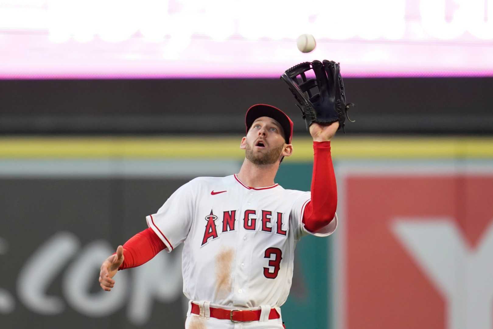 Taylor Ward Los Angeles Angels Baseball