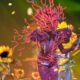 The Masked Singer Coral Performance