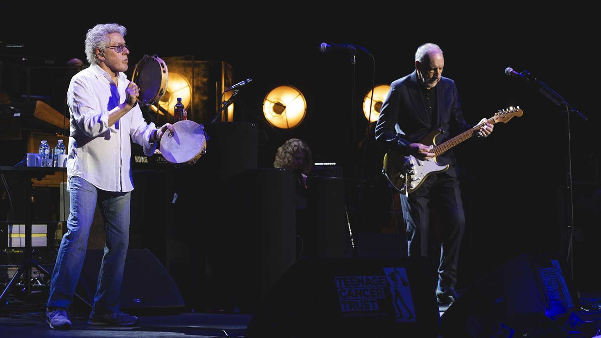 The Who Band Performing Live