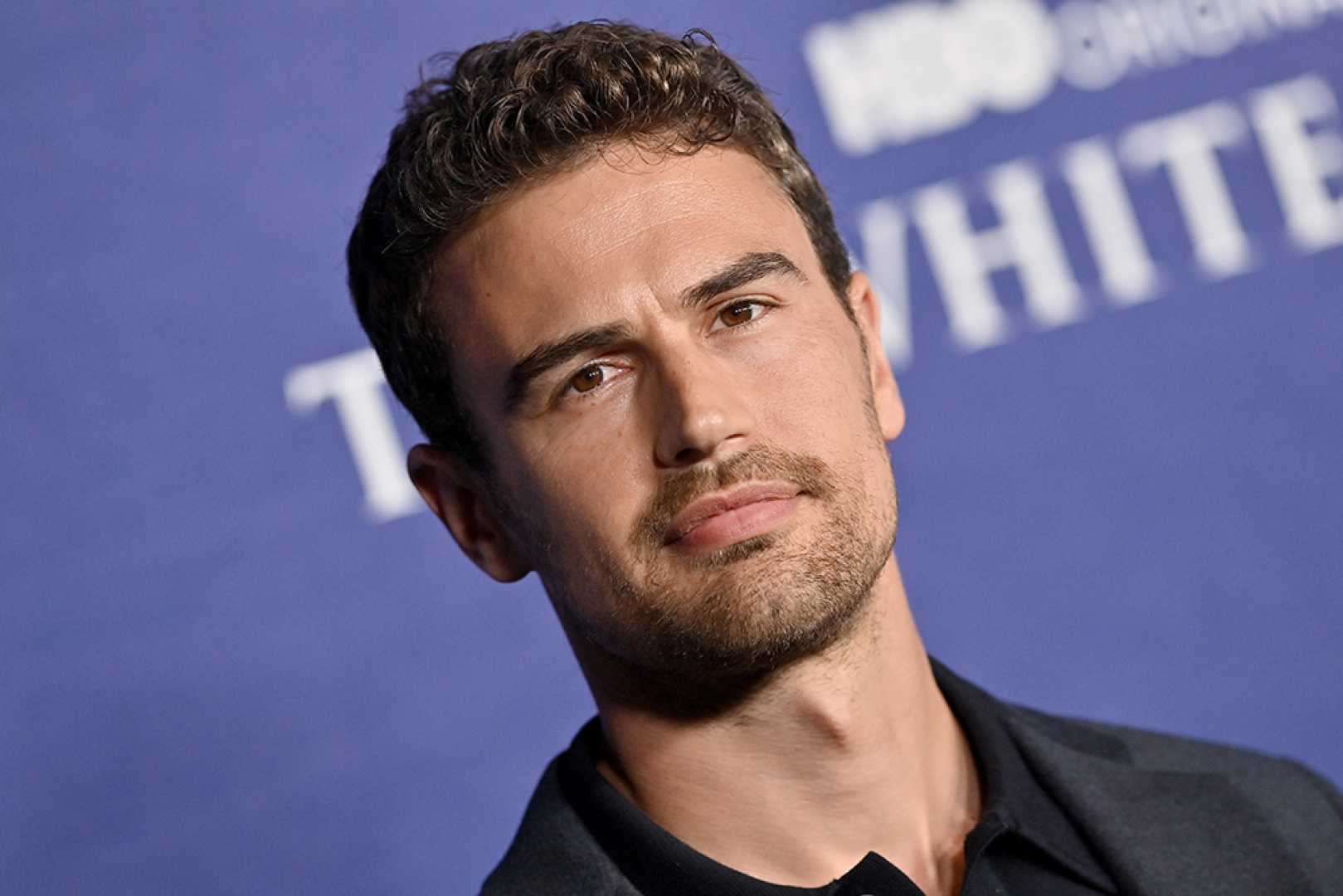 Theo James The Bookie And The Bruiser