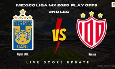 Tigres Uanl Vs Necaxa Liga Mx Playoffs