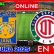 Toluca Tigres Clausura 2025 Semifinal Match