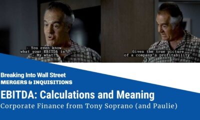 Tony Soprano Financial Analysis