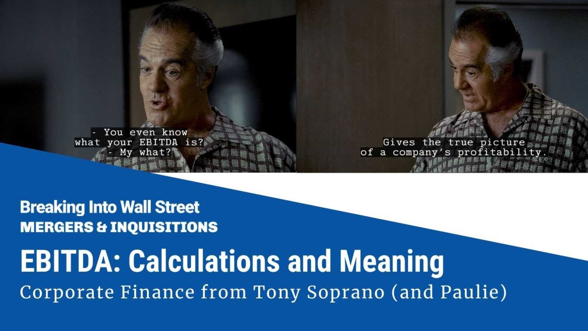 Tony Soprano Financial Analysis