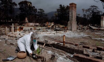 Toxic Soil Contamination Los Angeles Wildfires