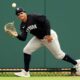 Trent Grisham New York Yankees Baseball Action