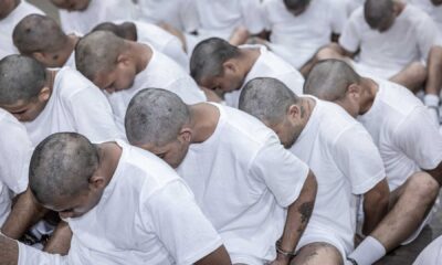 Trump Administration Deportation Legal Challenges