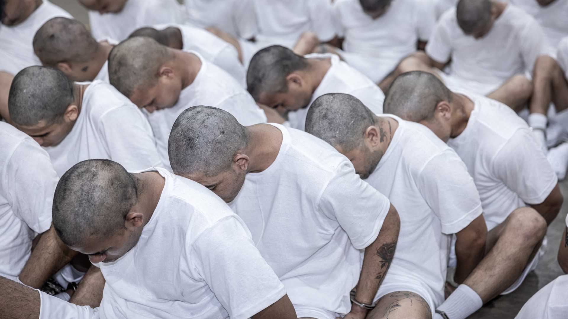 Trump Administration Deportation Legal Challenges