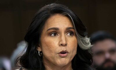 Tulsi Gabbard National Intelligence Council